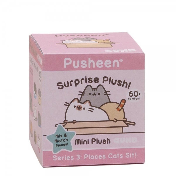 pusheen cat mystery box