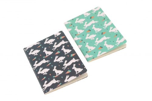 Wild Thoughts Bunny Rabbit A6 Notebooks Set