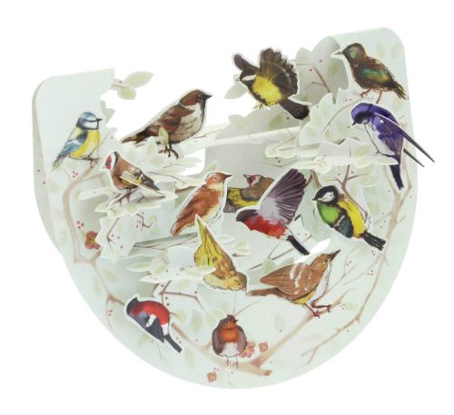 Santoro Garden Birds Popnrock 3D Pop-Up Card - Greetings and Birthday Card